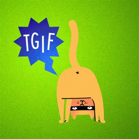 Cat Friday GIF - Cat Friday Weekend - Discover & Share GIFs