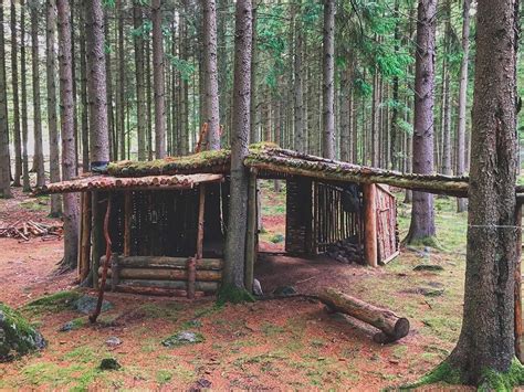 Wilderness Survival Shelter Designs: How to Build One Survival Shelter ...