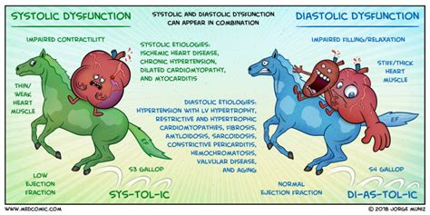 systolic dysfunction vs diastolic dysfunction - Google Search ...