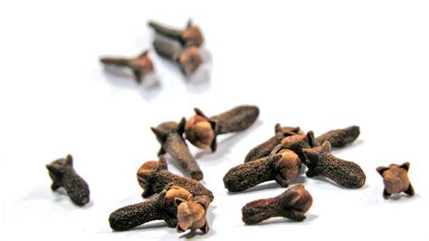 5 Natural homemade clove remedies for toothache - Medicine.com