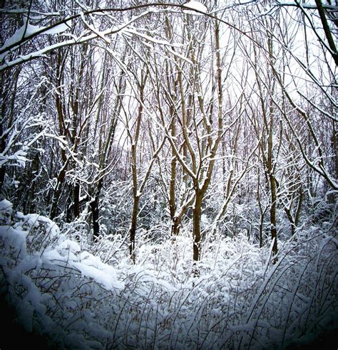 65 best images about INDIANA SNOW.................. on Pinterest ...