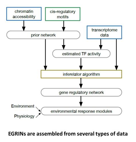 In Brief. Field of genes: Uncovering Environmental Gene Regulatory ...