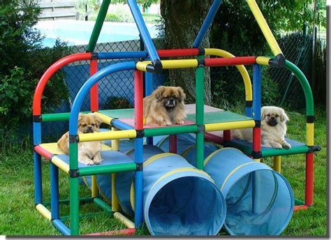 backyard dog playground photo 6 | Dog playground, Puppy playground, Dog ...