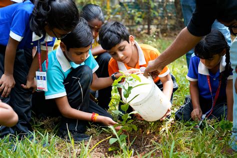 The Sun Smart Foundation | Community Services | IGCSE School Chennai