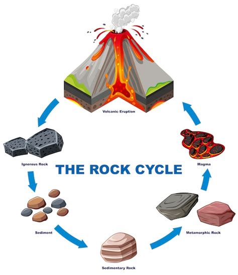 Free Vector | Diagram showing rock cycle