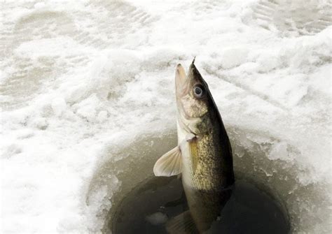 Life In Minnesota 16 Best Ice Fishing Lakes in Minnesota https://www ...