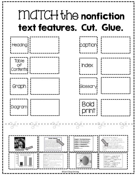 Text Features Lesson 3rd Grade