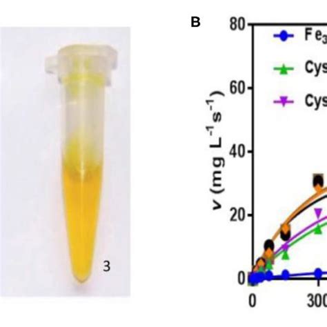 | Crystal structure of iron sulfide. (A) FeS. (B) FeS 2 . (C) Fe 2 S 2 ...