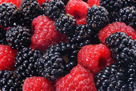 Raspberries And Blackberries - Free photo on Pixabay