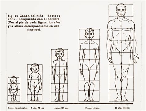 VISUAL ARTS: Principles of Art and Design: PROPORTION