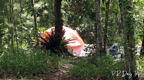 Camping in Maricao State Forest | PRDayTrips