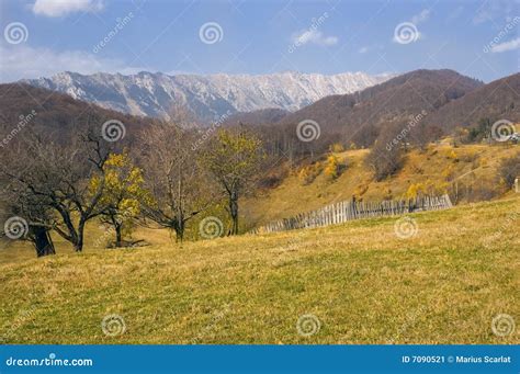 Country side in the fall stock image. Image of forest - 7090521