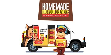 10 Best Homemade Dog Food Delivery Services from around the Globe