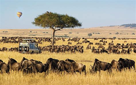 4 days Masai Mara luxury safari | masai mara safari