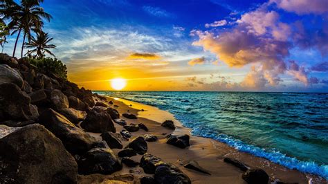 sky, sea, exotic, ocean, hawaii, oahu, sunset, beautiful, palms, stones ...