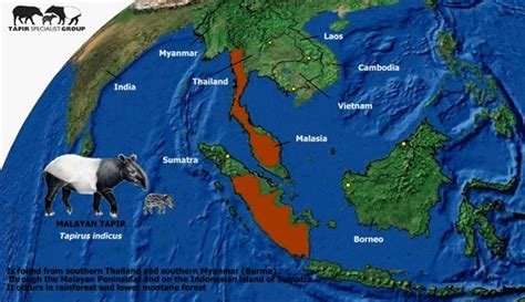 malayan-tapir-range | Tapir Specialist Group