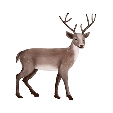 Image of a cute forest deer 13895068 PNG