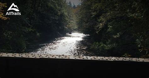 10 Best trails and hikes in Comox Valley A | AllTrails