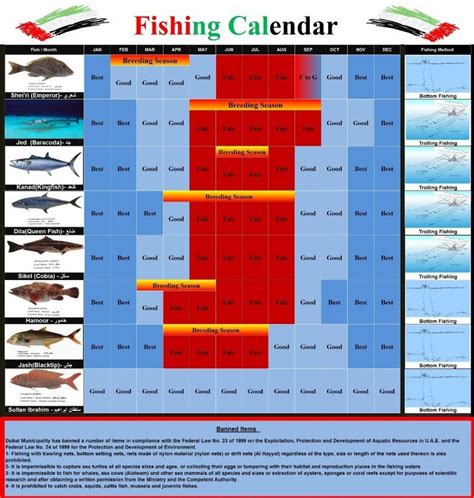 20+ Fishing Calendar - Free Download Printable Calendar Templates ️