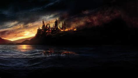 HD wallpaper: Hogwarts Legacy, video games, dragon, owl, Harry Potter ...