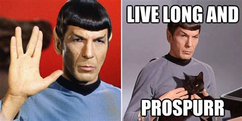 10 Spock Memes Only True Star Trek Fans Will Understand