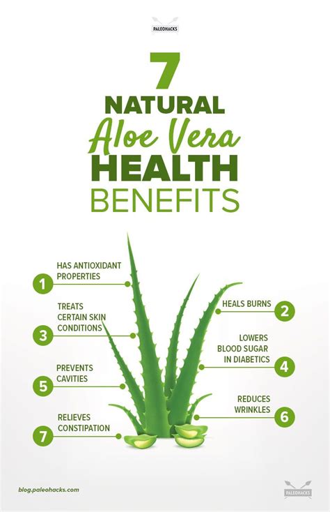 7 Natural Aloe Vera Health Benefits and Uses | PaleoHacks