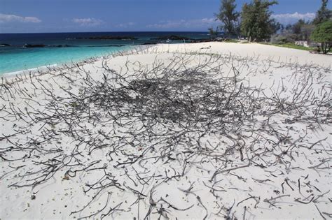 Makalawena Beach, Kailua-Kona - Hawaii Beaches