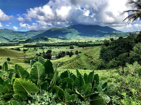 El Yunque National Forest - Vuelta Puerto Rico