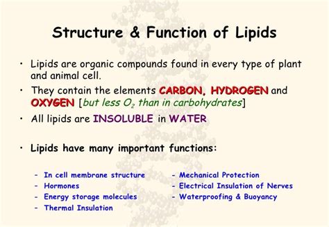 Lipids