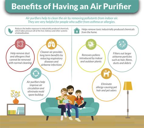 How to Pick the Best Air Purifier for Home Detoxification - DrJockers.com