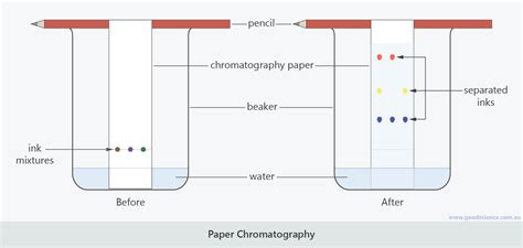 Chromatography Paper Easy Experiment at Thomas McHugh blog