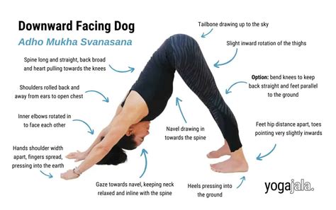 Downward Facing Dog Pose (Adho Mukha Svanasana)