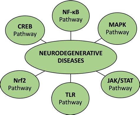 Various cell signaling pathways for neurodegenerative diseases ...