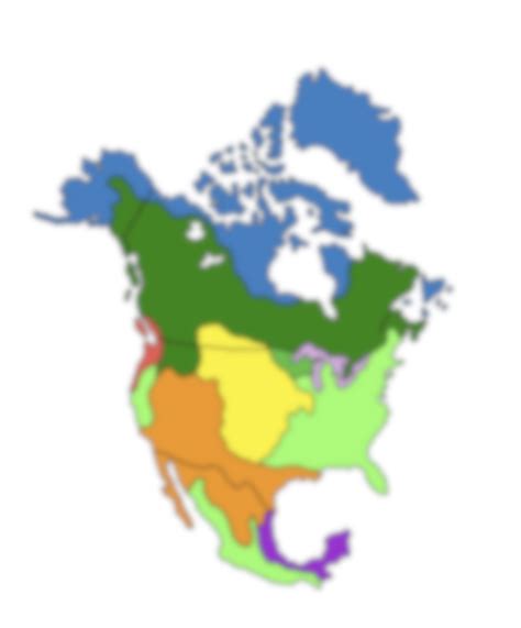 North America Biome Map KS2 Geography | Teaching Resources