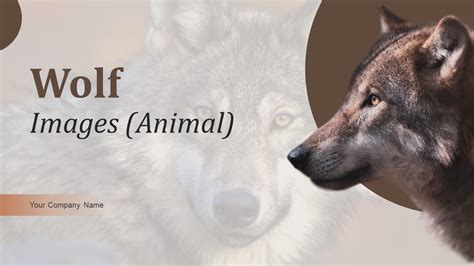 Wolf Images Animal PowerPoint PPT Template Bundles PPT PowerPoint