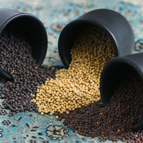 Mustard Seeds - The Silk Road Spice Merchant