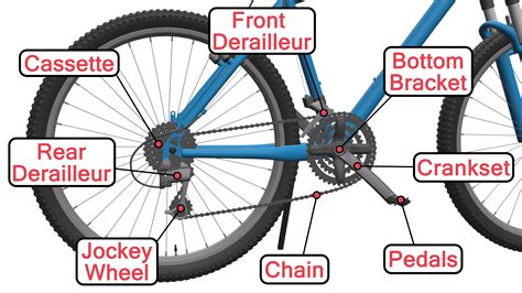 Parts of A Bike Diagram | The Bicycle Anatomy Guide For All