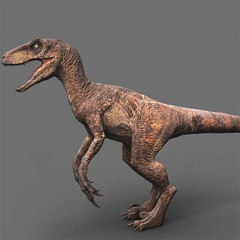 3d model velociraptor jurassic park | Velociraptor jurassic park ...