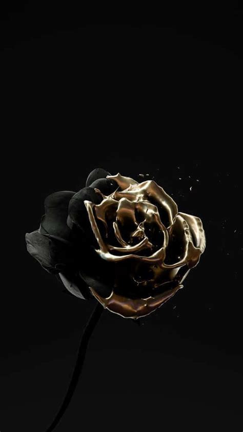 Download Stunning Black and Gold Aesthetic Wallpaper | Wallpapers.com