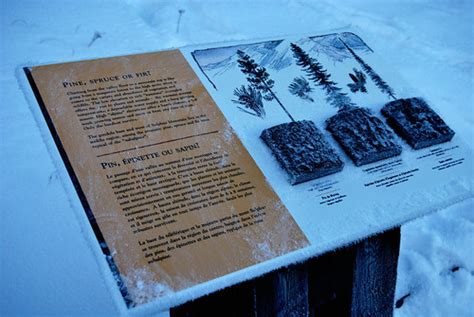 Sulphur Mountain in Winter/Snow, Banff Alberta Canada | Flickr