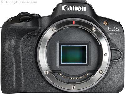 Canon EOS R50 Sample Pictures