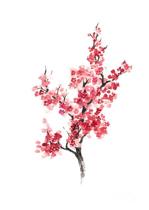 Cherry blossom japanese flowers poster Painting by Joanna Szmerdt ...