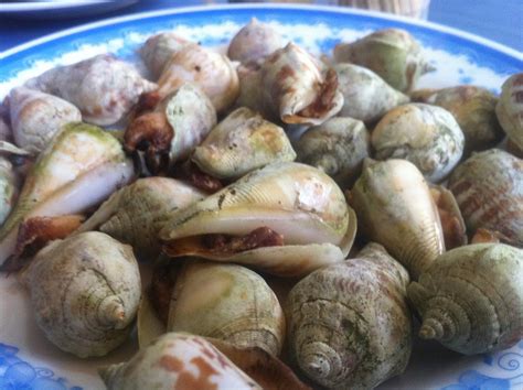 Viet Street Foods: Snails - trendy street food for young Vietnamese