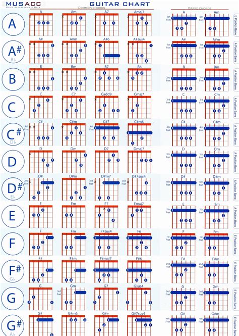 the guitar chart for all kinds of guitars and their corresponding parts ...