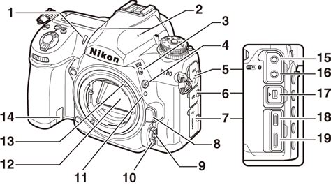 Film Camera Parts Diagram