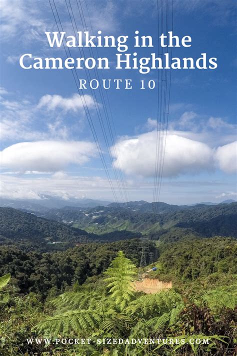 Hiking in the Cameron Highlands - a guide to Route 10 #cameronhighlands ...