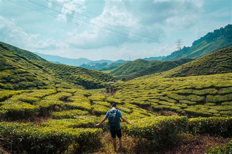 A Complete Hiking Guide to Cameron Highlands, Malaysia