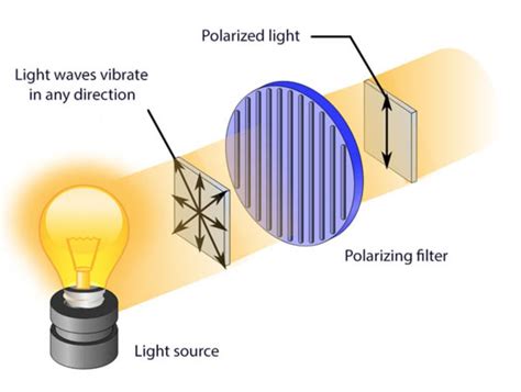 Polarization of Light Interactive Demo