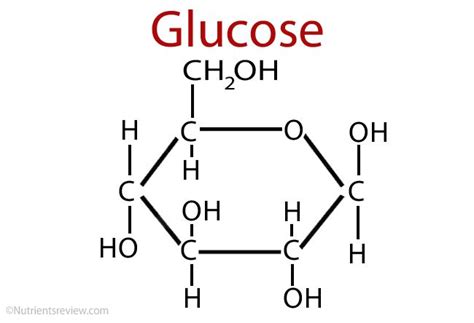 The Chemical Formula For Glucose Is - Chemical Formula Info