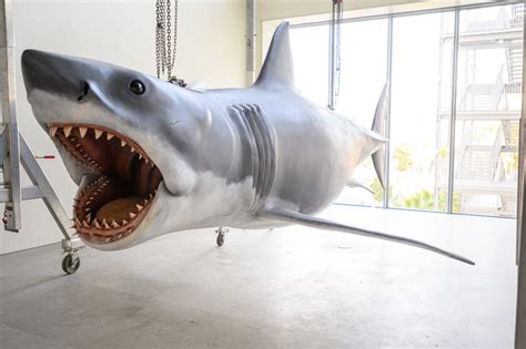 Academy Museum welcomes 'Jaws' star Bruce, the shark